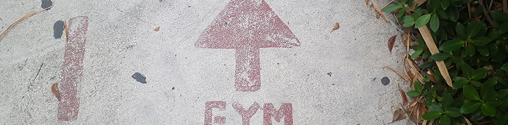 HIIT, HILIT, LIIT UND LISS – ALLES KLAR?