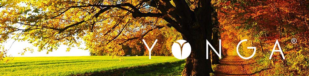 Neue YONGA® Release ist online!