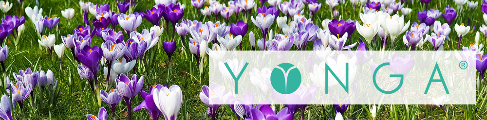 Neue YONGA® Release ist online!