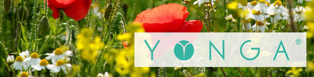 Neue YONGA® Release ist online!
